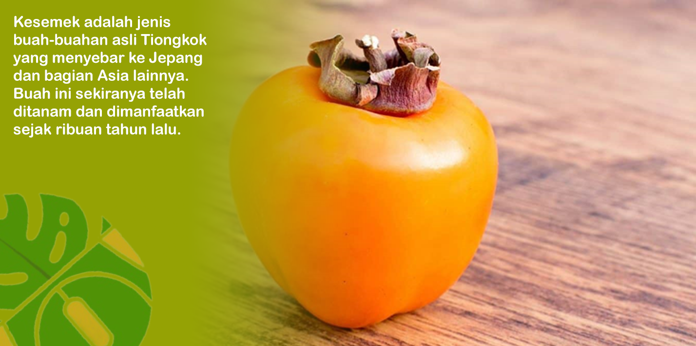 Manfaat Buah Kesemek: Mengurangi Peradangan dan Menjaga Kesehatan Mata